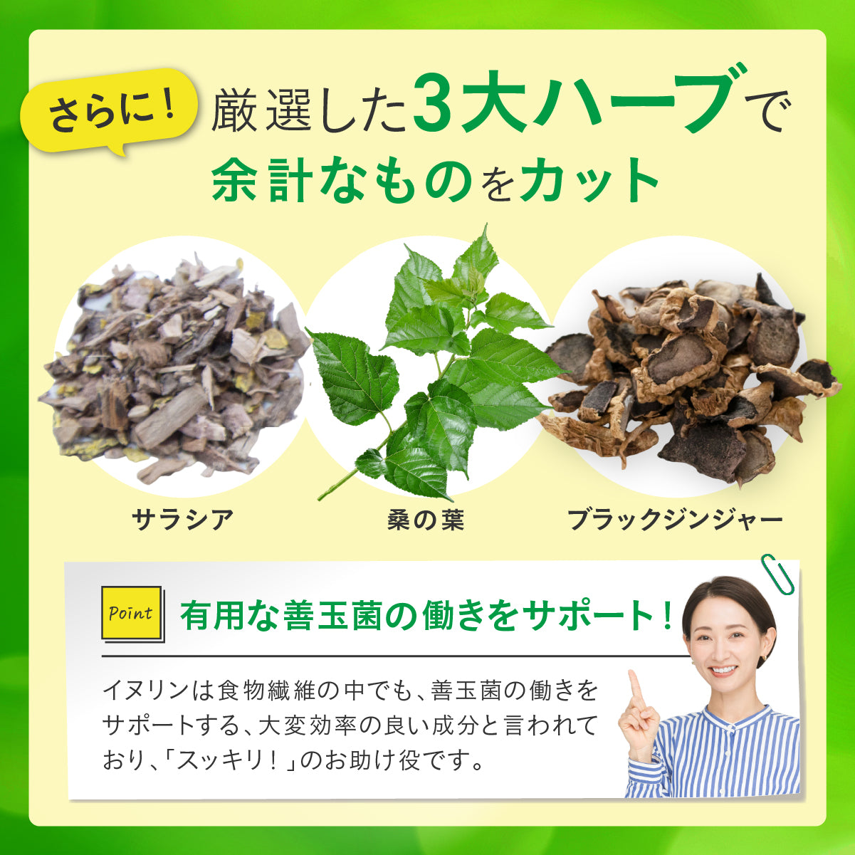 ビオナス イヌリンタブレット (ヨーグルト風味)