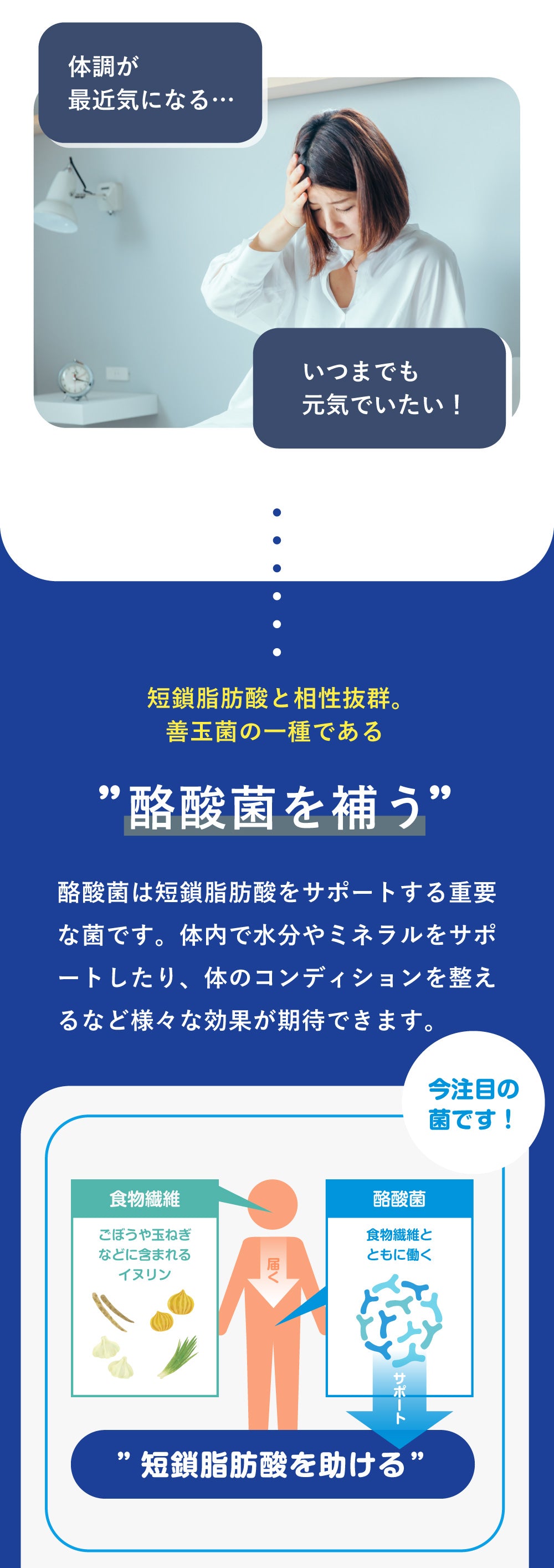 ビオナス 酪酸菌サプリ