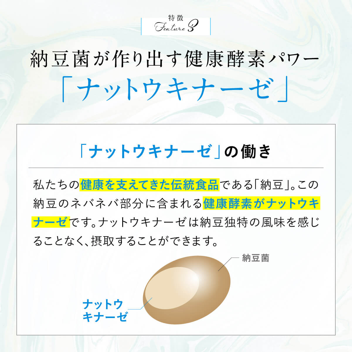 ビオナス 乳酸菌サプリ3袋セット